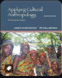 Applying cultural anthropology: an introductory reader