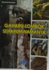 GAHARU LOMBOK SEHARUM NAMANYA