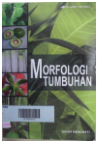 MORFOLOGI TUMBUHAN
